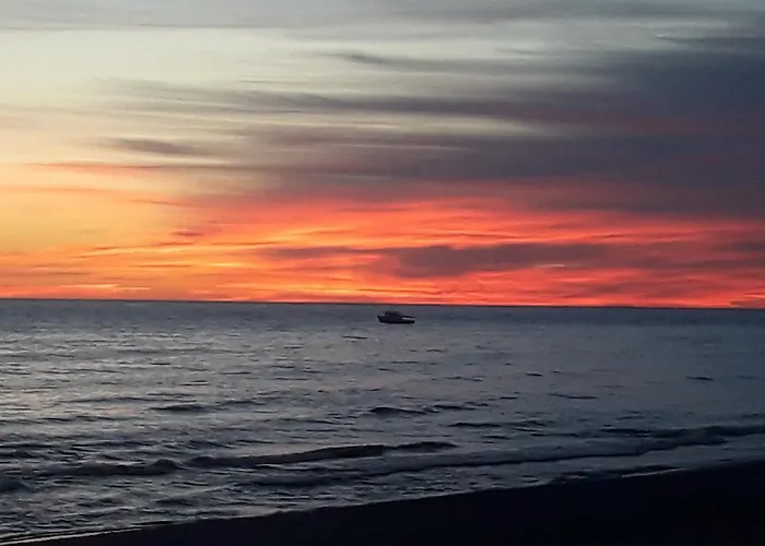 Su Terasa Jaukus Apartamentas, Tik Vienas דירה